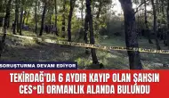 Tekirdağ'da 6 Aydır Kayıp Olan Şahsın Ces*di Ormanlık Alanda Bulundu