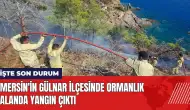 Mersin'in Gülnar ilçesinde ormanlık alanda yangın çıktı