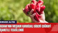 Adana'nın meşhur Karaisalı biberi coğrafi işaretle tescillendi