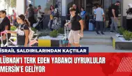 Lübnan'ı terk eden yabancı uyruklular Mersin'e geliyor!