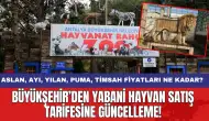 Büyükşehir’den yabani hayvan satış tarifesine güncelleme!