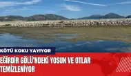 Eğirdir Gölü'ndeki yosunlar ve otlar temizleniyor!