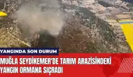 Muğla Seydikemer'de tarım arazisindeki yangın ormana sıçradı