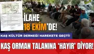 Kaş orman talanına ‘Hayır’ diyor: Kaş Kültür Derneği harekete geçti!