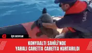 Konyaaltı Sahili'nde Yaralı Caretta Caretta Kurtarıldı