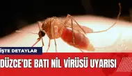 Düzce'de Batı Nil Virüsü uyarısı