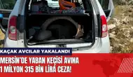 Mersin’de yaban keçisi avına 1 milyon 315 bin lira ceza!