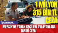 Mersin’de Yaban Keçileri Avlayanlara Tarihi Ceza!