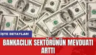 Bankacılık sektörünün mevduatı arttı