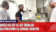 Muğla'da süt ve süt ürünleri işletmelerine eş zamanlı denetim