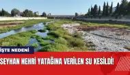 Seyhan Nehri yatağına verilen su kesildi! İşte nedeni