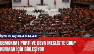 Demokrat Parti ve DEVA Meclis'te grup kurmak için birleşiyor