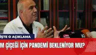 M Çiçeği için pandemi bekleniyor mu?