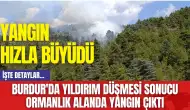 Burdur'da Yıldırım düşmesi sonucu ormanlık alanda yangın çıktı