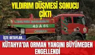 Kütahya'da Orman Yangını Büyümeden Engellendi