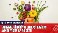 Tarımsal Girdi Fiyat Endeksi haziran ayında yüzde 47 arttı