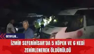 İzmir Seferihisar’da 5 Köpek ve 6 Kedi Zehirlenerek Öldürüldü