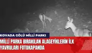 Kovada Gölü Milli Parkı'na bırakılan alageyiklerin ilk yavruları fotokapanda