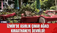 İzmir’de Asırlık Çınar Ağacı Kıraathaneye Devrildi! 9 Yaralı