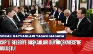 CHP'li Belediye Başkanları Büyükçekmece'de buluştu!