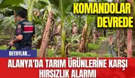 Alanya'da tarım ürünlerine karşı hırsızlık alarmı: Komandolar devrede