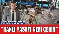 Zaman Varken Yasayı Geri Çekin! Sokak Hayvanlarının Toplanmasına Tepki