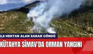 Kütahya Simav'da orman yangını