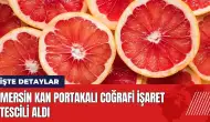 Mersin Kan Portakalı için Coğrafi İşaret Tescili alındı