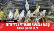 Antalya’da Faturasız Papağan Satışı Yapan Şahsa Ceza