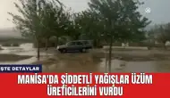 Manisa'da Şiddetli Yağışlar Üzüm Üreticilerini Vurdu