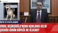 Erdal Beşikçioğlu'ndan açıklama geldi: Çocuğu ısıran köpeğe ne olacak?