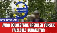 Avro Bölgesi'nde krediler yüksek faizlerle duraklıyor