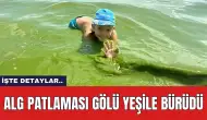 Alg Patlaması Gölü Yeşile Bürüdü