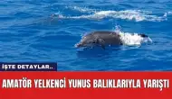 Amatör yelkenci yunus balıklarıyla yarıştı