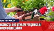 Akdeniz'de Süs Bitkileri Yetiştiriciliği Kursu düzenleniyor