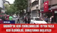 Kadıköy'de Kedi Zehirlenmeleri: 15'ten Fazla Kedi Öldürüldü, Soruşturma Başlatıldı