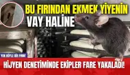 Yok böyle bir fırın! Hijyen denetiminde ekipler fare yakaladı! O anlar