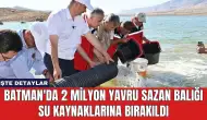 Batman'da 2 Milyon Yavru Sazan Balığı Su Kaynaklarına Bırakıldı