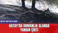 Hatay'da ormanlık alanda yangın çıktı