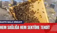 Sahte bala dikkat! Hem sağlığa hem sektöre tehdit