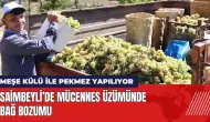 Saimbeyli’de Mücennes üzümü bağ bozumu: Meşe külü ile pekmez yapılıyor