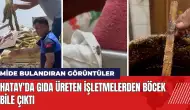 Hatay'da mide bulandıran görüntüler! Gıda üreten işletmelerden böcek bile çıktı