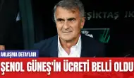 Trabzonspor'un Şenol Güneş'e Vereceği Ücret Belli Oldu