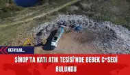 Sinop'ta Katı Atık Tesisi'nde Bebek Ces*di Bulundu