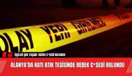 Alanya’da Katı Atık Tesisinde Bebek C*sedi Bulundu