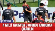 A Milli Takım'da O Oyuncu Kadrodan Çıkarıldı