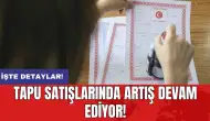 Tapu satışlarında artış devam ediyor!