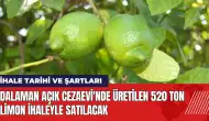 Dalaman Açık Cezaevi'nde üretilen 520 ton limon ihaleyle satılacak