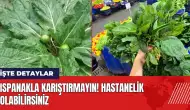 Ispanakla karıştırmayın! Hastanelik olabilirsiniz