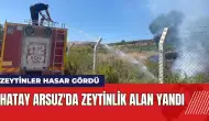 Hatay'ın Arsuz ilçesinde zeytinlik alanda yangın çıktı